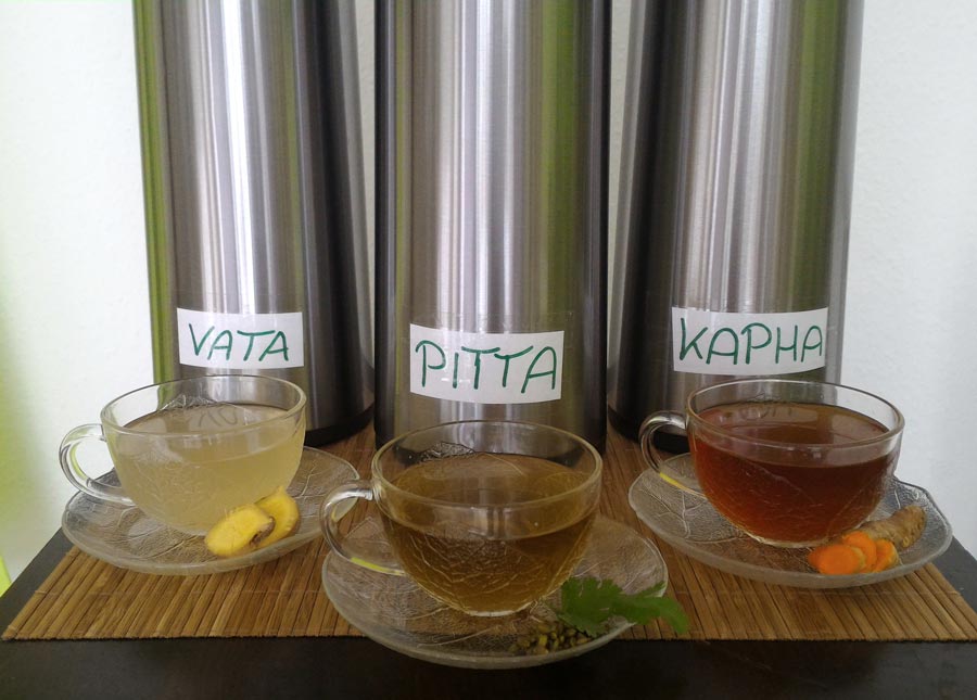 doshas ayurvédicas