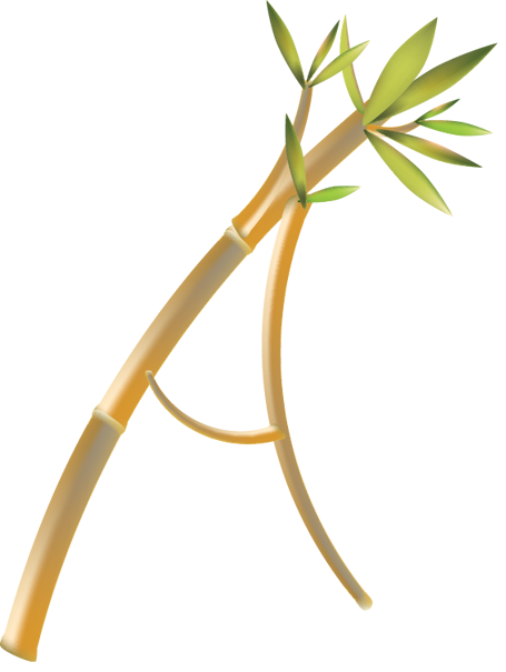 Ammaji's Ayurveda Zentrum